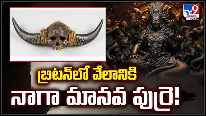 Naga Human Skull: వేలంలోకి అరుదైన నాగా మానవ పుర్రె.. మండిపడ్డ ఆ ప్రాంత ప్రజలు.! Naga Human Skull: వేలంలోకి అరుదైన నాగా మానవ పుర్రె.. మండిపడ్డ ఆ ప్రాంత ప్రజలు.!