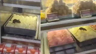 Viral Video: పిచ్చి పీక్‌స్టేజ్‌లో.. రీల్ కోసం బైక్‌పై డేంజర్ స్టంట్.. వీడియో వైరల్