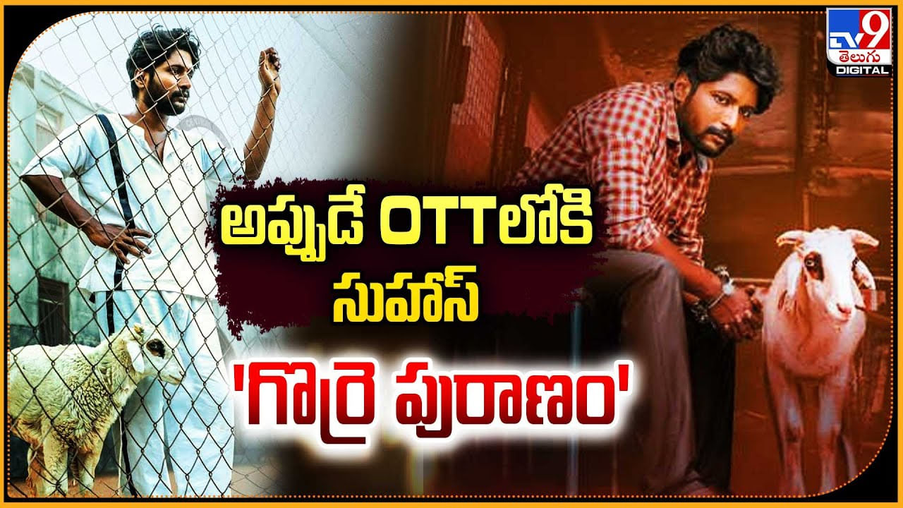 Gorre Puranam: OTTలో కూడా సుహాస్ స్పీడ్.! అప్పుడే 'గొర్రె పురాణం' ఎక్కడంటే.?