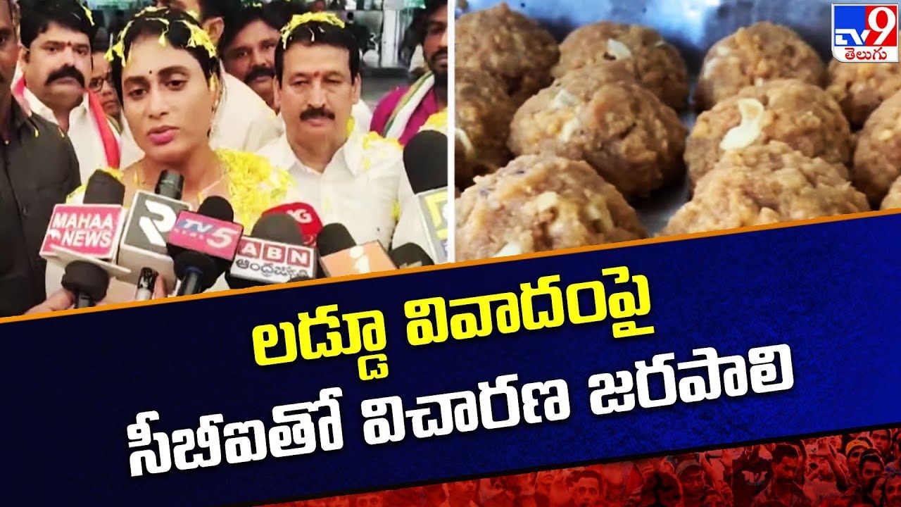 Tirumala Laddu: తిరుమల లడ్డూ వివాదంపై సీబీఐ విచారణ జరిపించాలి - షర్మిల