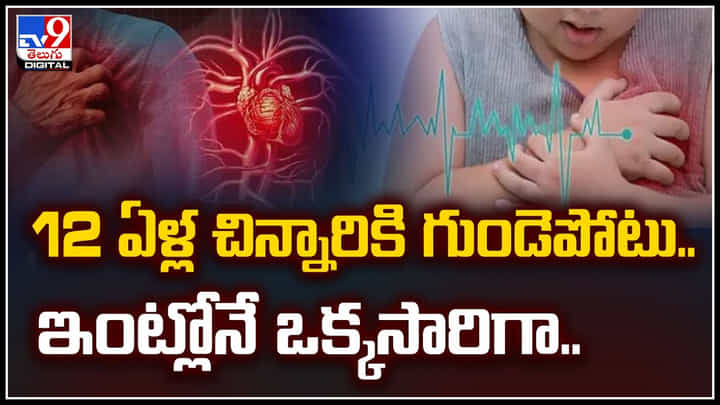 Viral: 12 ఏళ్ల చిన్నారికి గుండెపోటు.. ఇంట్లోనే ఒక్కసారిగా.! వీడియో Viral: 12 ఏళ్ల చిన్నారికి గుండెపోటు.. ఇంట్లోనే ఒక్కసారిగా.! వీడియో