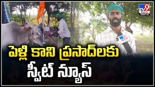 Viral Video: కార్తీక మాసం మహాత్యం.. శనిదేవుడి చుట్టూ ప్రదక్షిణలు చేసిన పిల్లి.. ఏం కోరుకుందో మరీ..!