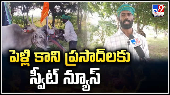 పెళ్లి కాని ప్రసాద్లకు స్వీట్ న్యూస్.! యువ రైతులకు పిల్లనిచ్చే వాళ్లే లేరా.? పెళ్లి కాని ప్రసాద్లకు స్వీట్ న్యూస్.! యువ రైతులకు పిల్లనిచ్చే వాళ్లే లేరా.?