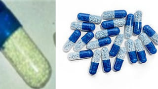 AP News: ఆ బావి నుంచి వేగంగా చప్పుళ్లు.. ఏంటా అని రైతులు వెళ్లి చూడగా..