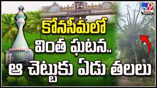 Andhra Pradesh: పామును రక్షించబోయి ప్రాణాలు కోల్పోయిన మామ, అల్లుళ్లు..!