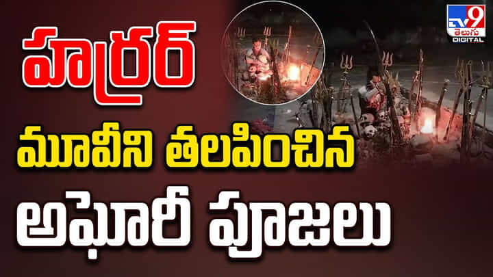 హర్రర్ మూవీని తలపించిన అఘోరీ పూజలు !! చితాభస్మాన్ని ఒంటికి రుద్దుకుని ?? హర్రర్ మూవీని తలపించిన అఘోరీ పూజలు !! చితాభస్మాన్ని ఒంటికి రుద్దుకుని ??