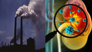 Turmeric: పసుపు ఎక్కువగా తింటే ఏమవుతుంది.? రోజుకు ఎంత తీసుకుంటే మంచిది