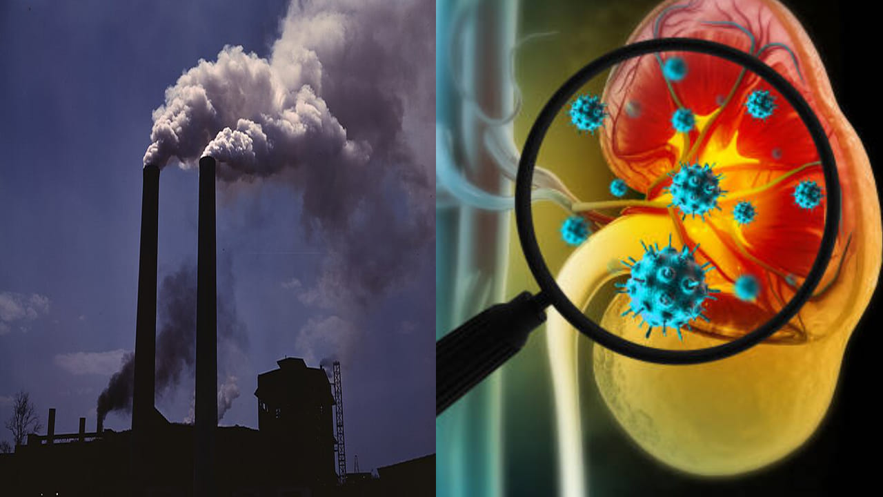 Lifestyle: కిడ్నీలను దెబ్బ తీస్తున్న వాయు కాలుష్యం.. పరిశోధనల్లో సంచలన విషయాలు