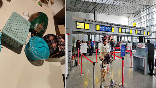 Viral: ఎయిర్పోర్టు తనిఖీల్లో ఇద్దరు వ్యక్తుల బిత్తరచూపులు.. బ్యాగులు చెక్ చేయగా