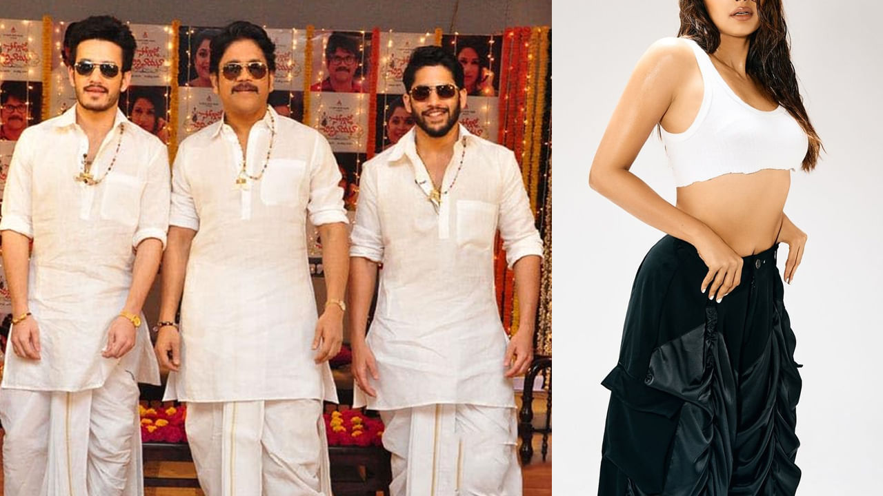 Akkineni Nagarjuna: అక్కినేని హీరోలతో నటించిన ఏకైక హీరోయిన్.. నాగ్, చైతన్య, అఖిల్ సినిమాల్లో ఆమె చాలా స్పెషల్..