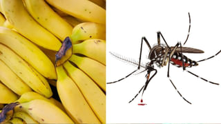 Health: రెగ్యులర్‌గా బీర్‌ తాగితే శరీరంలో జరిగే మార్పులు ఇవే..