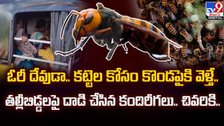 Viral: దేవుడు బ్రతికిస్తాడని బిల్డింగ్‌ పైనుంచి దూకాడు.. కట్ చేస్తే.. ఆ తర్వాత సీన్