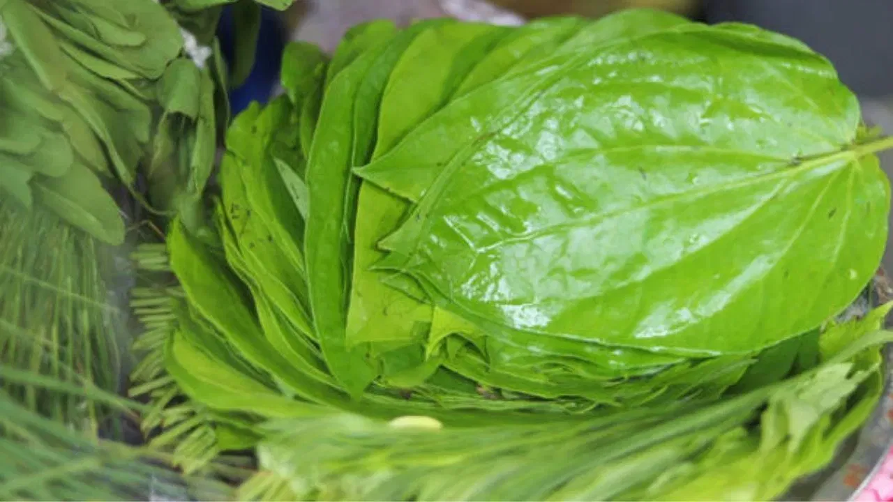 షుగర్ పేషెంట్లు కూడా తమల పాకును తీసుకోవడం వల్ల డయాబెటీస్‌ను కంట్రోలో చేయవచ్చు. తమలపాకును నేరుగా తీసుకున్నా, తమలపాకును మరిగించిన నీటిని తీసుకున్నా.. రక్తంలో గ్లూకోజ్ లెవల్స్ తగ్గుతాయి.
