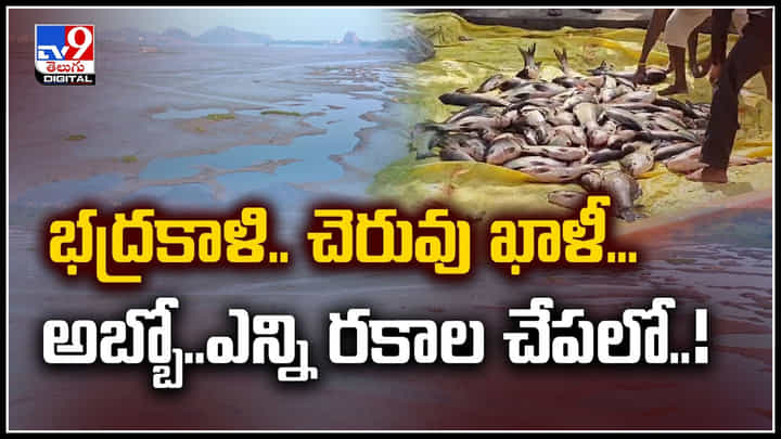 Watch: భద్రకాళి చెరువు ఖాళీ. అబ్బో.. ఎన్ని రకాల చేపలో.! అదిరిపోయే వీడియో Watch: భద్రకాళి చెరువు ఖాళీ. అబ్బో.. ఎన్ని రకాల చేపలో.! అదిరిపోయే వీడియో