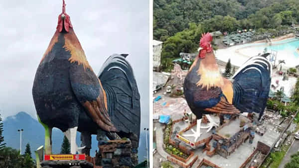 కోడిపుంజు ఆకారంలో నిర్మించిన హోటల్..! గిన్నిస్ వరల్డ్ రికార్డ్ బ్రేక్..ఈ భవనంలో అడుగుపెడితే..