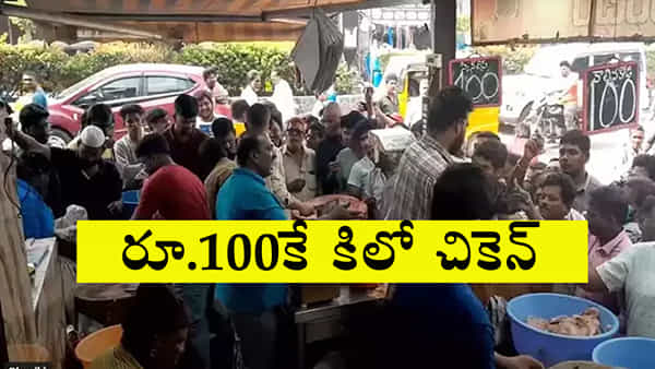 Chicken Price: చికెన్ ప్రియులకు గుడ్న్యూస్.. రూ.100కే కిలో చికెన్! ఎగబడ్డ జనాలు..