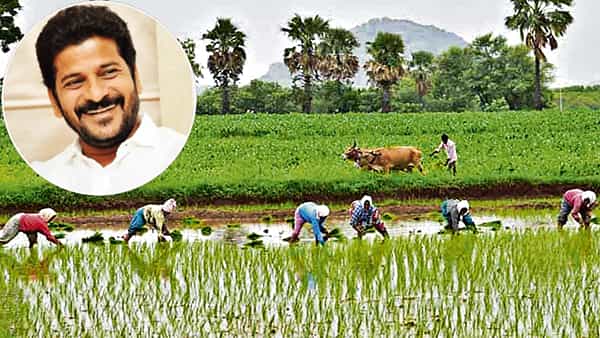 రైతులకు రేవంత్ సర్కార్ గుడ్న్యూస్..! రుణమాఫీ సంపూర్ణం చేస్తారా లేక రైతుభరోసా ప్రకటిస్తారా..?