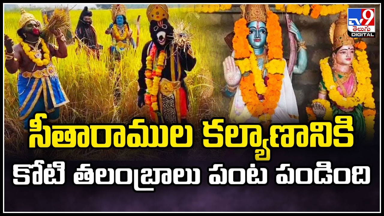 Viral: దేవతలే దిగివచ్చి పంట కోస్తున్నారా.? కోటి తలంబ్రాలు పంట పండింది..