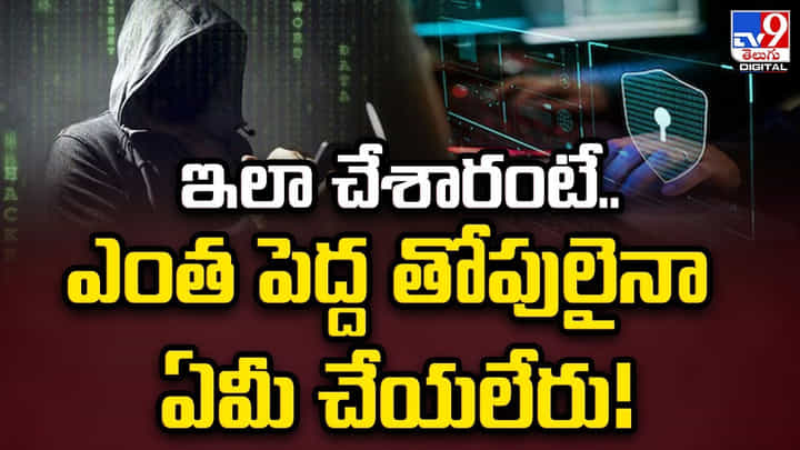 ఇలా చేశారంటే.. ఎంత పెద్ద తోపులైనా ఏమీ చేయలేరు !! ఇలా చేశారంటే.. ఎంత పెద్ద తోపులైనా ఏమీ చేయలేరు !!
