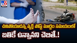 పొలంలో అరికెలు తిని 10 ఏనుగులు మృతి.. ఏం జరిగిందంటే ??