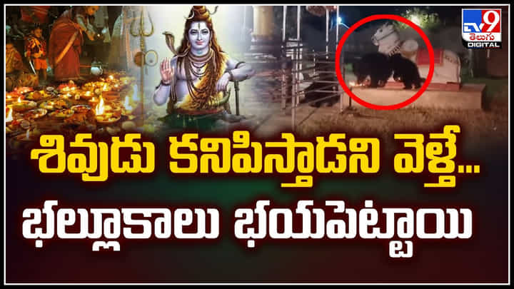 Watch: శివుడు కనిపిస్తాడని వెళ్తే.. ఎలుగుబంట్లు భయపెట్టాయి.! వీడియో.. Watch: శివుడు కనిపిస్తాడని వెళ్తే.. ఎలుగుబంట్లు భయపెట్టాయి.! వీడియో..