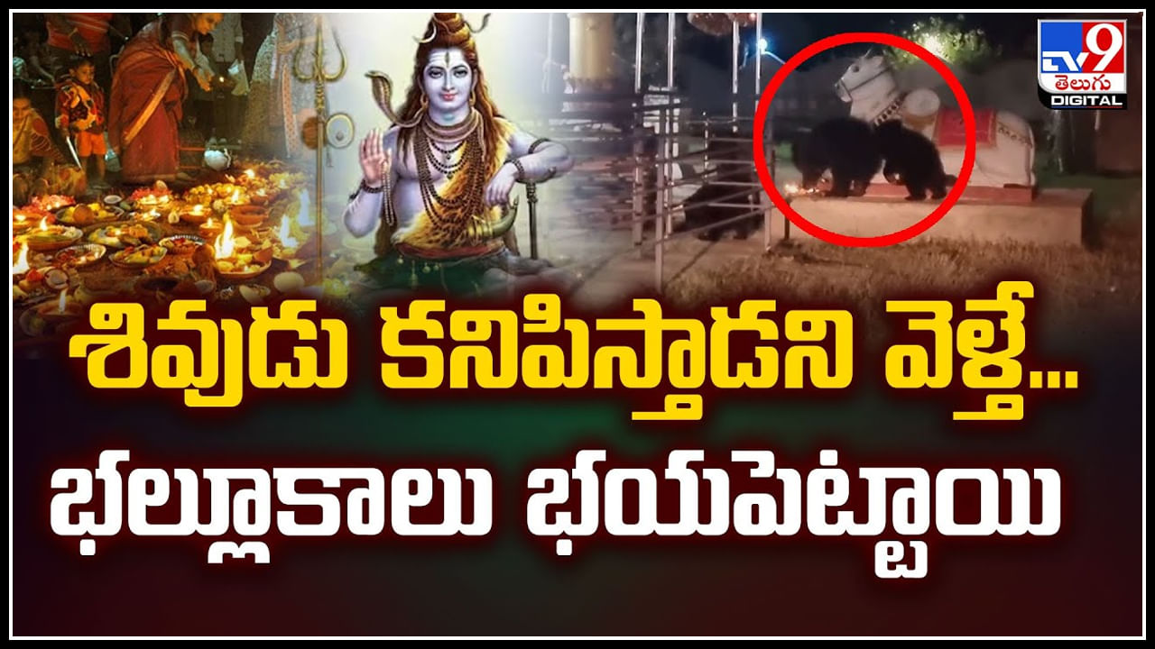 Watch: శివుడు కనిపిస్తాడని వెళ్తే.. ఎలుగుబంట్లు భయపెట్టాయి.! వీడియో..