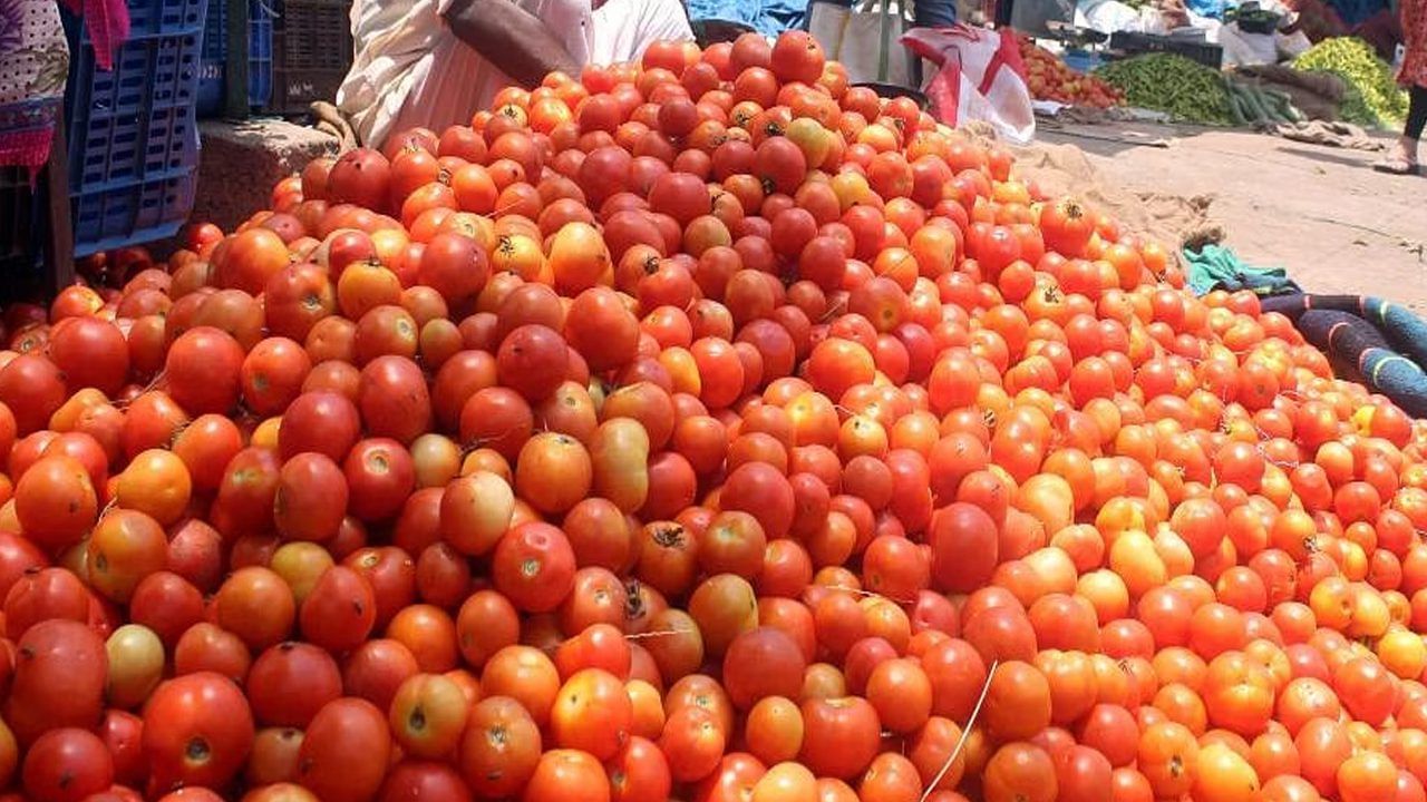 ఈ క్రమంలోనే షుగర్‌ వ్యాధితో బాధ పడేవారు టమాటాలు ఎక్కువగా తినకూడదని అంటారు. మరి టమాటాలు తినొచ్చా? లేదా? మరి ఆరోగ్య నిపుణులు ఏం అంటున్నారో అనేది ఇప్పుడు తెలుసుకుందాం. 
