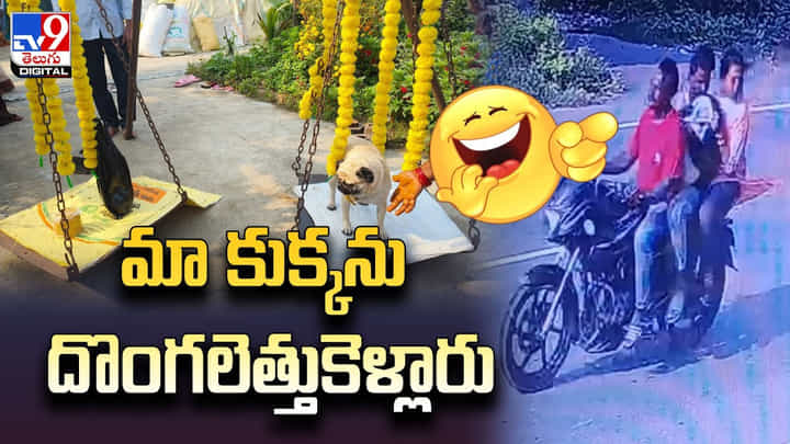 మా కుక్కను దొంగలెత్తుకెళ్లారు !! పోలీసులను ఆశ్రయించిన యజమాని మా కుక్కను దొంగలెత్తుకెళ్లారు !! పోలీసులను ఆశ్రయించిన యజమాని