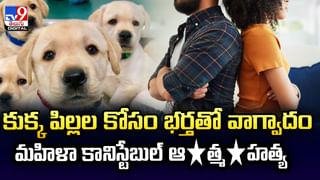 Watch: రెప్పపాటులో ఊహించని ప్రమాదం..రెండు కార్లు ఢీ కొని దారుణం.. షాకింగ్ వీడియో