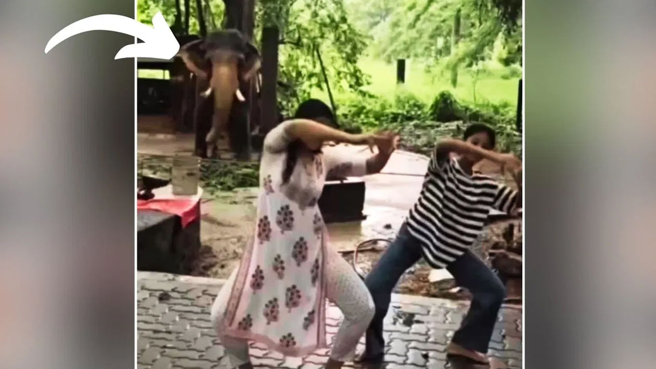 Viral video : అందమైన అమ్మాయిలు డ్యాన్స్ చేస్తుండగా.. అప్పుడే వచ్చిన ఏనుగు ఏం చేసిందో చూస్తే అవాక్కే..!