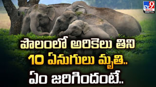 టపాసులు కాల్చడంలో కూడా టెక్నాలజీని వాడేశాడుగా