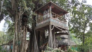 Andhra Pradesh: వామ్మో పులొచ్చింది.. ఆవునే తినేసింది..గజగజ వణుకుతున్న జనం