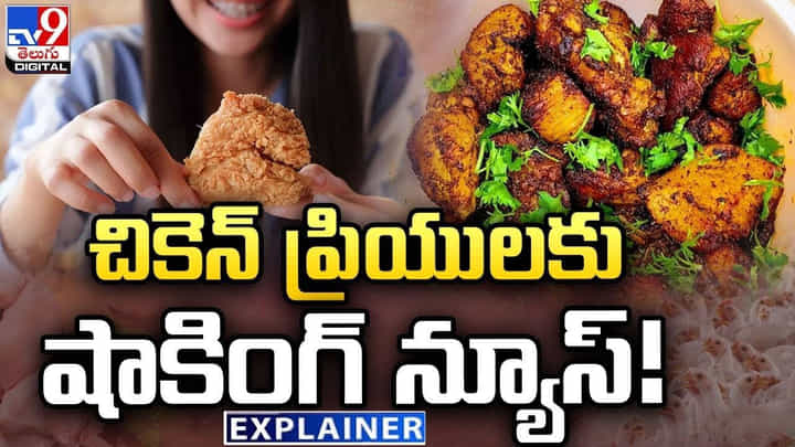 చికెన్ ప్రియులకు షాకింగ్ న్యూస్.. ఈ సమస్యలు తప్పవు అంటున్న శాస్త్రవేత్తలు చికెన్ ప్రియులకు షాకింగ్ న్యూస్.. ఈ సమస్యలు తప్పవు అంటున్న శాస్త్రవేత్తలు