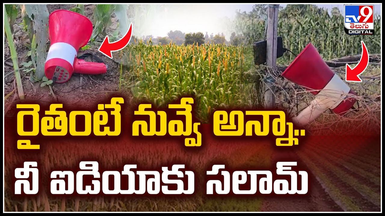 Viral: రైతంటే నువ్వే అన్నా.. నీ ఐడియాకు సలామ్.! వీడియో..