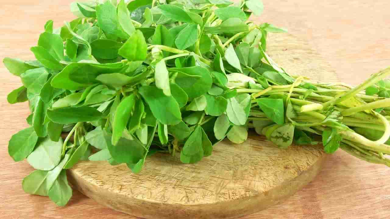 Fenugreek Leaves: మెంతి కూర తినడం లేదా.. ఈ లాభాలను మిస్ అయినట్లే!