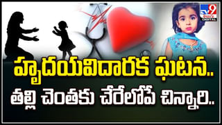 Telangana Caste Survey: ఆ జిల్లాల్లో 100 శాతం సమగ్ర కులగణన పూర్తి.. హైదరాబాద్‌లో ఇంటింటి సర్వే అప్డేట్ ఇదే..