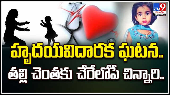 Watch: హృదయవిదారక ఘటన.. తల్లి చెంతకు చేరేలోపే చిన్నారి.! వీడియో.. Watch: హృదయవిదారక ఘటన.. తల్లి చెంతకు చేరేలోపే చిన్నారి.! వీడియో..