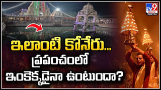 Watch: వామ్మో పులి.! సోషల్ మీడియాలో చక్కర్లు కొడుతున్న వీడియో..