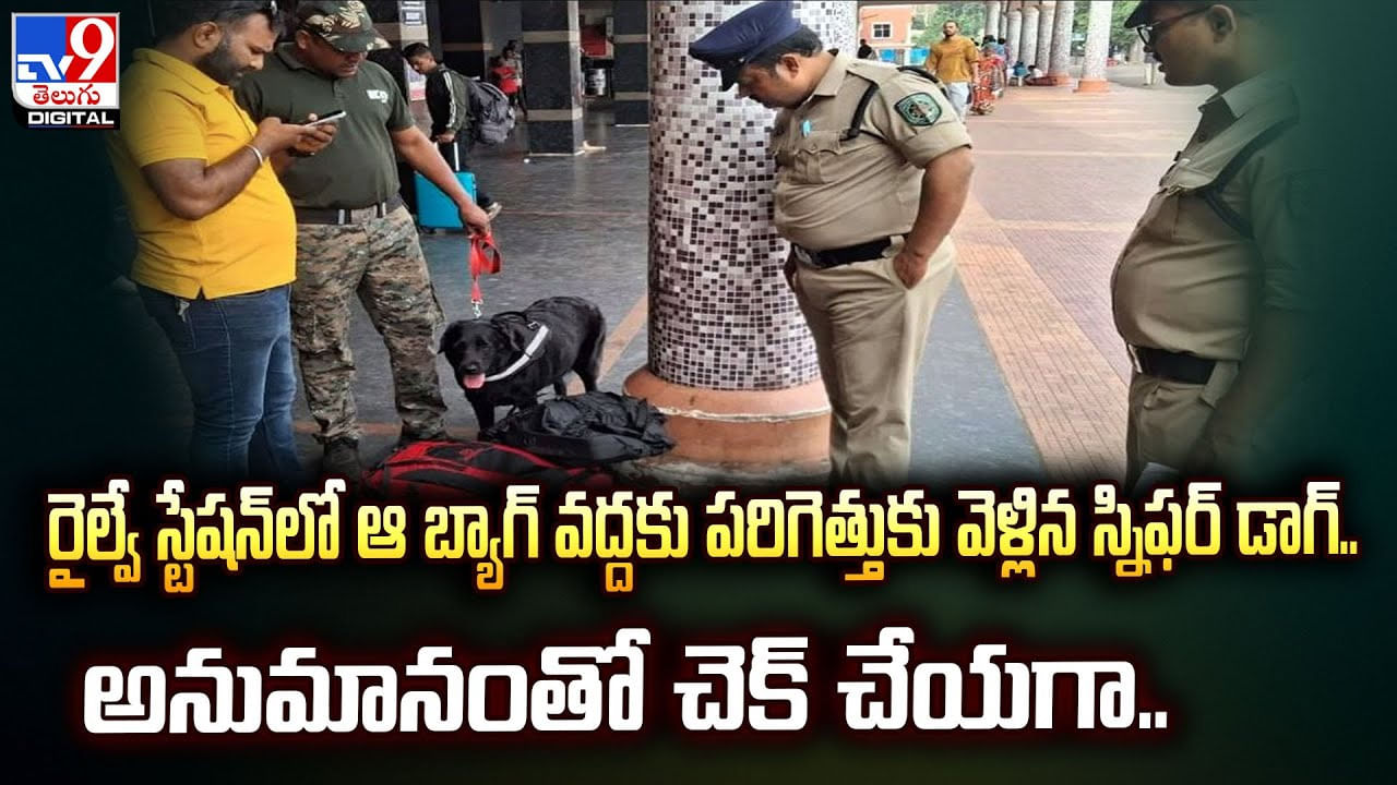 రైల్వే స్టేషన్‌లో ఆ బ్యాగ్ వద్దకు పరిగెత్తుకు వెళ్లిన స్నిఫర్ డాగ్.. అనుమానంతో చెక్ చేయగా !!