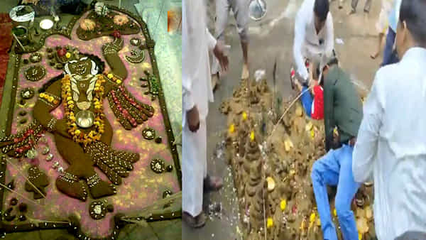 Watch: ఇదో వింత ఆచారం.. పిల్లల్ని ఇలా ఆవుపేడలో దొర్లిస్తే ఆరోగ్యంగా ఉంటారట..! ఎక్కడంటే..