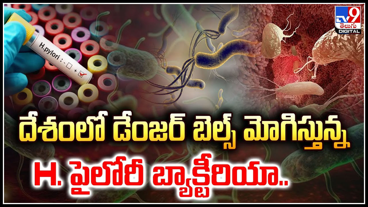 H Pylori Bacteria: దేశంలో డేంజర్‌ బెల్స్‌ మోగిస్తున్న హెచ్‌ పైలోరీ బ్యాక్టీరియా.! ఎన్ని కేసులంటే.?