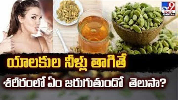 యాలకుల నీళ్లు తాగితే శరీరంలో ఏం జరుగుతుందో తెలుసా ?? యాలకుల నీళ్లు తాగితే శరీరంలో ఏం జరుగుతుందో తెలుసా ??