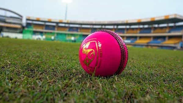 IND vs AUS 2nd Test: భారత్ వర్సెస్ ఆస్ట్రేలియా పింక్ బాల్ టెస్ట్కి రంగం సిద్ధం.. ఎప్పుడు, ఎక్కడంటే?