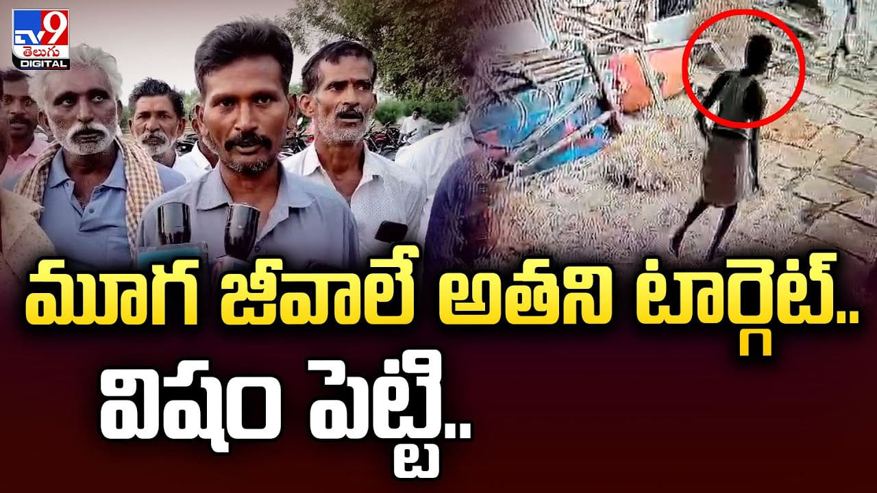 మూగ జీవాలే అతని టార్గెట్‌.. విషం పెట్టి మరీ..