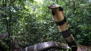 ధర్మాన కృష్ణదాస్ మాజీ పీఏ అరెస్ట్.. ఏకంగా రూ. 70 కోట్ల ఆస్తులను గుర్తించిన ఏసీబీ