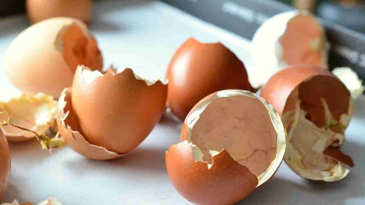 Kitchen Hacks: కోడి గుడ్డు పొట్టును ఇలా ఈజీగా తీసేయవచ్చు..