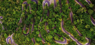 Photo Puzzle: తస్సాదియ్యా.! పే..ద్ద టాస్కే ఇది.. పామును గుర్తిస్తే మీరే తెలివైనవారే