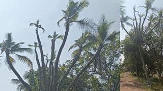 AP News: ఏపీ నిరుద్యోగులు ఎగిరి గంతేసే వార్త.. మంత్రి నారా లోకేష్ కీలక ప్రకటన