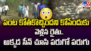 Viral: కోనసీమలో వింత ఘటన.. ఆ చెట్టుకు తొమ్మిది తలలు.! వీడియో..