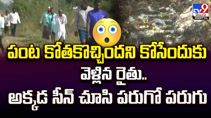 పంట కోతకొచ్చిందని కోసేందుకు వెళ్లిన రైతు.. అక్కడ సీన్ చూసి పరుగో పరుగు పంట కోతకొచ్చిందని కోసేందుకు వెళ్లిన రైతు.. అక్కడ సీన్ చూసి పరుగో పరుగు